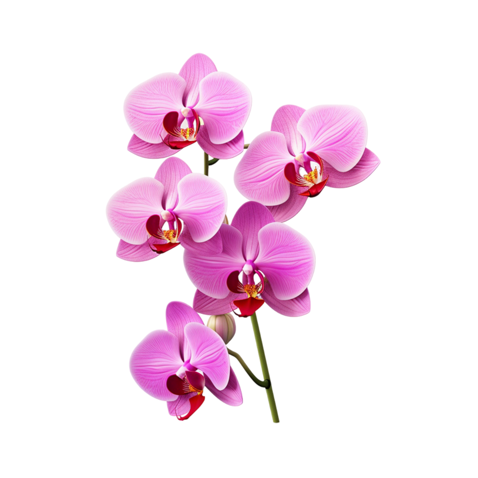 AI generated Purple flowers orchids png