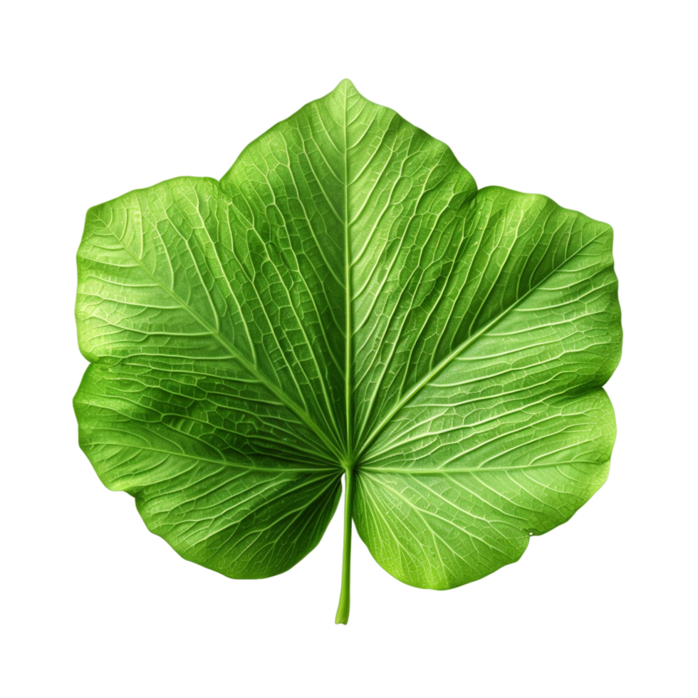 ai généré une vert feuille de une plante png