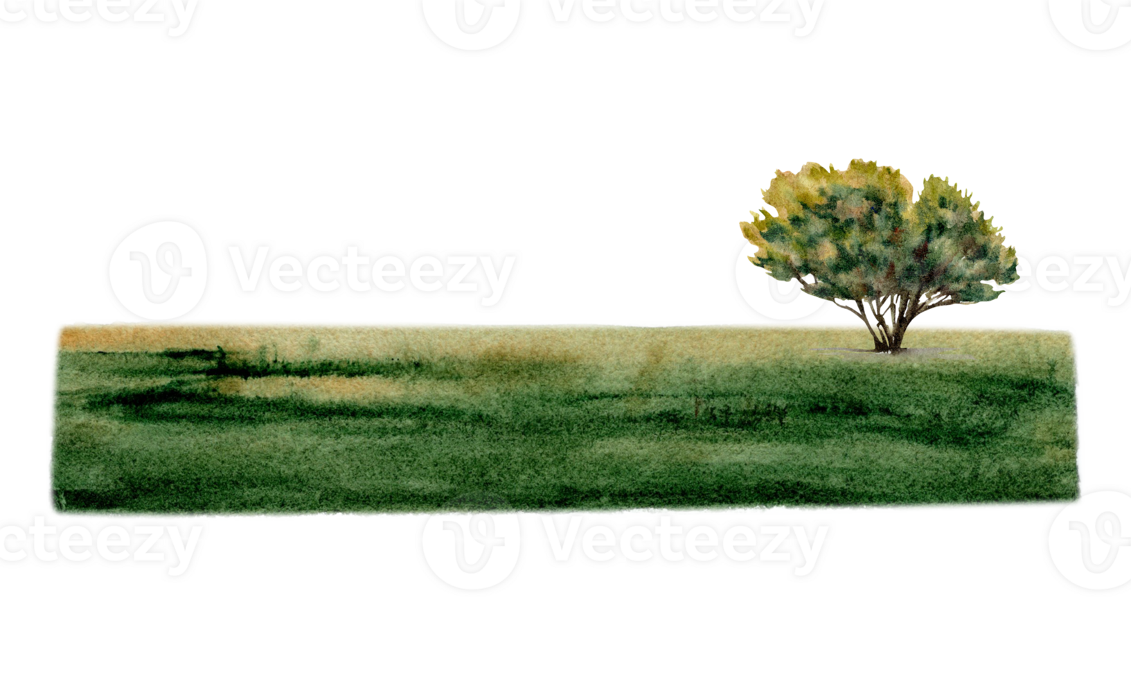 Tree on green grass. Nature, park, lawn, field, greenery landscape design composition for adventure, tourism, outdoors. Copy space template. Watercolor illustration on transparent background png