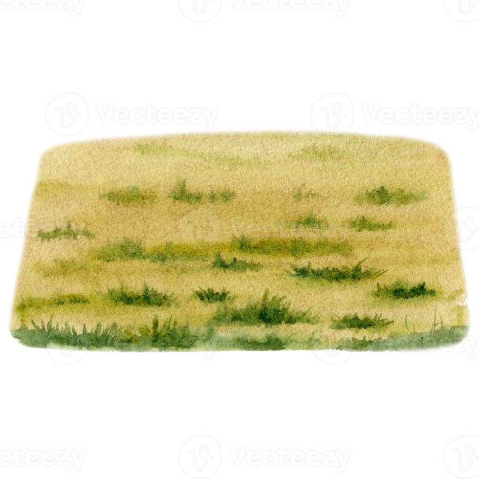 herbe champ Contexte. abstrait texture. aquarelle illustration sur transparent Contexte. main tiré élément pour tourisme, en plein air, hors route, camping, Extérieur, des loisirs, sport dessins png