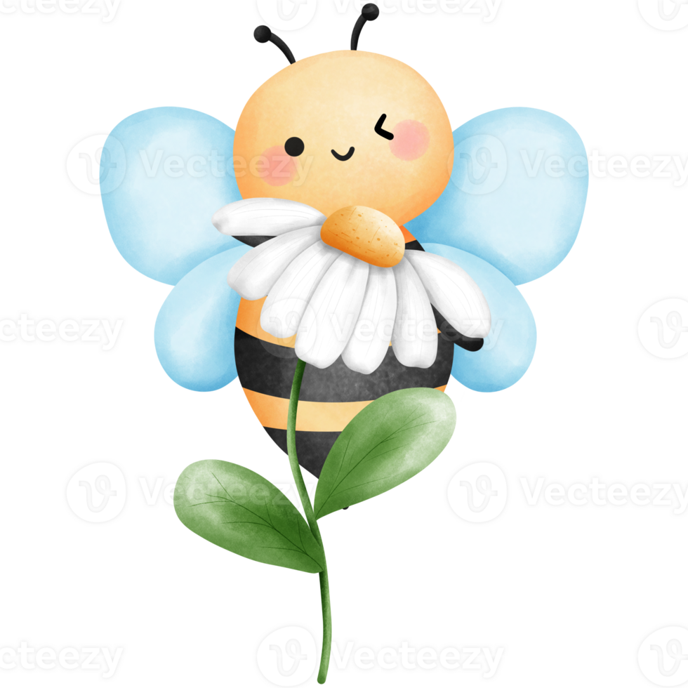 Little bee with white daisy flower watercolor clipart, Hand drawn cute baby bumblebee and floral illustration. png