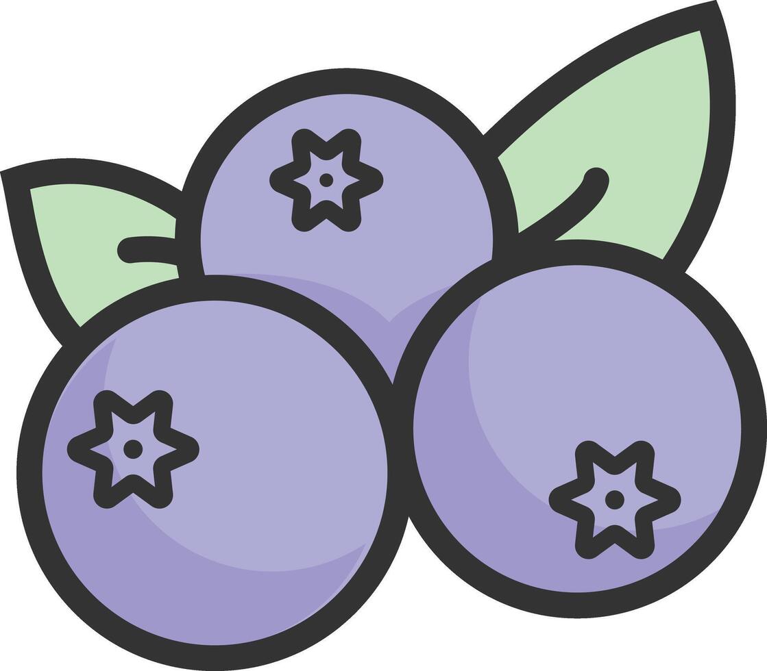 blueberry illustration design vector