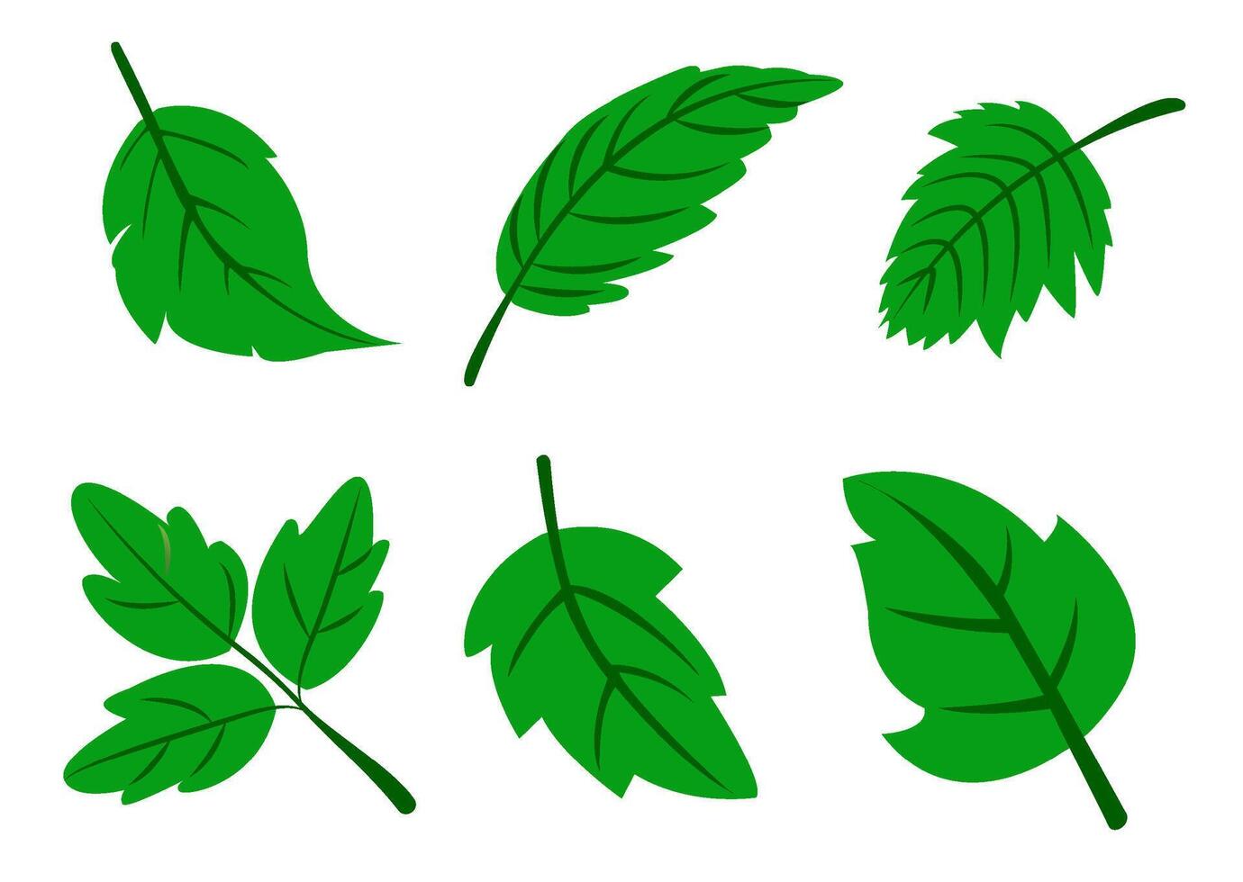 A set of green leaves on a white background, for logos, designs, for the symbolism of the green planet vector