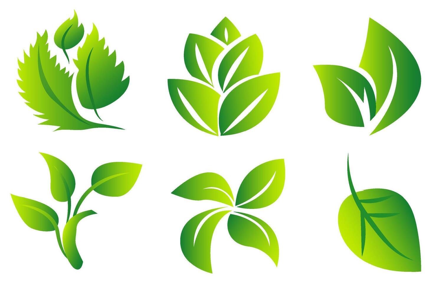 un conjunto de verde hojas en un blanco fondo, para logotipos, diseños, para el simbolismo de el verde planeta vector