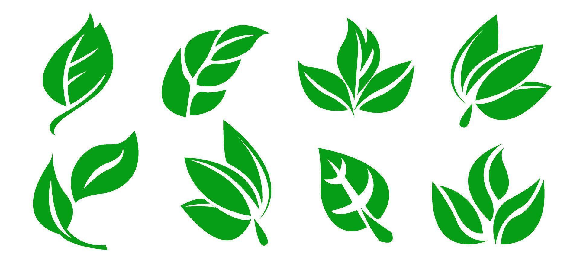 A set of green leaves on a white background, for logos, designs, for the symbolism of the green planet vector
