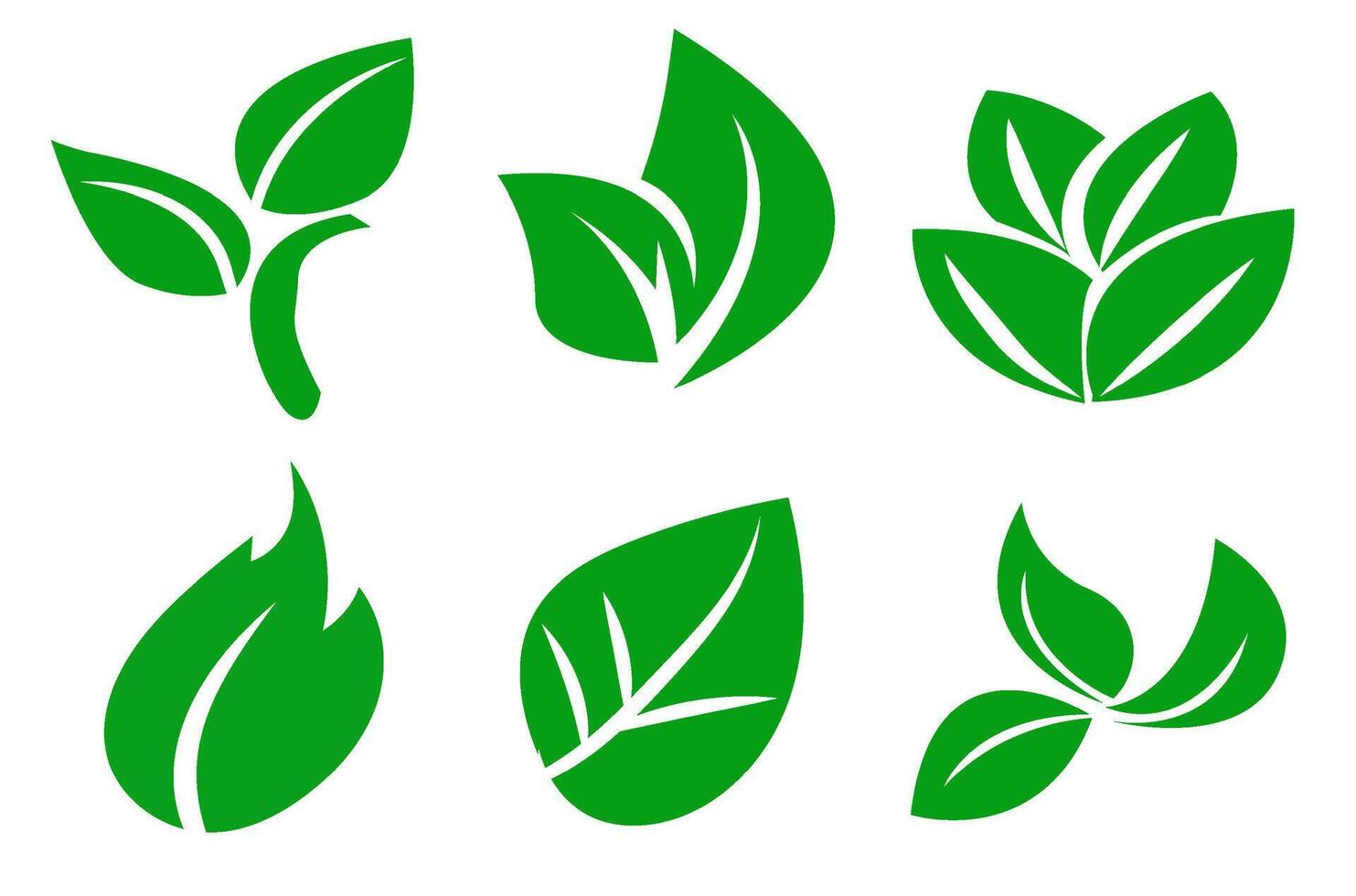 un conjunto de verde hojas en un blanco fondo, para logotipos, diseños, para el simbolismo de el verde planeta vector