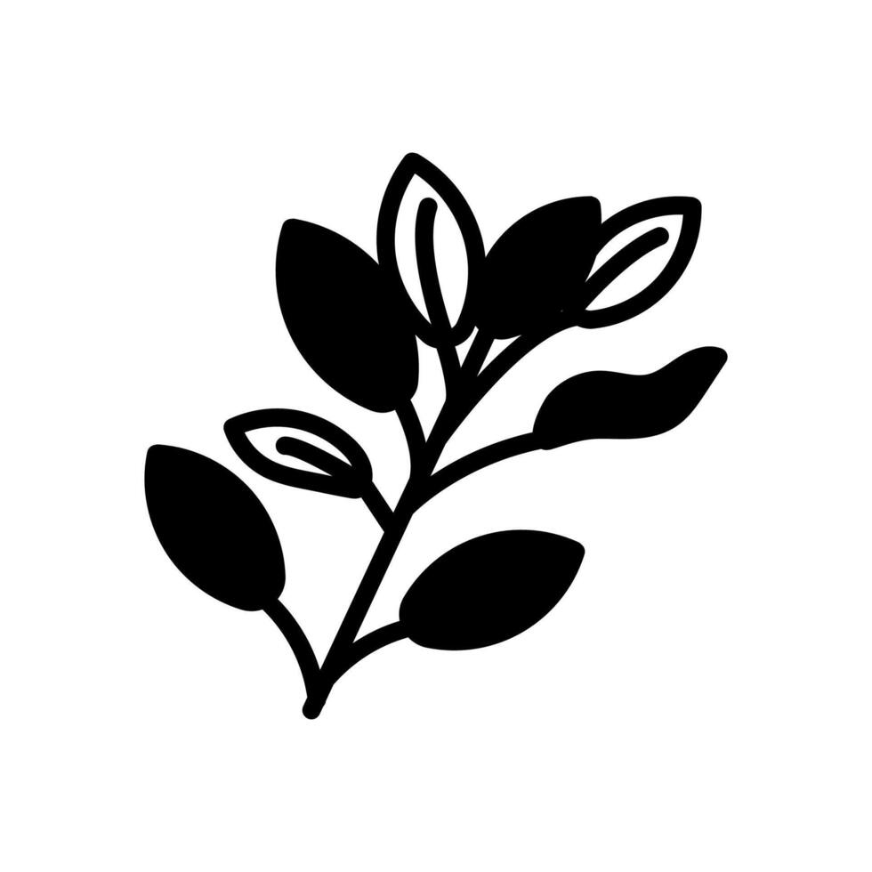 Sage icon in vector. Logotype vector