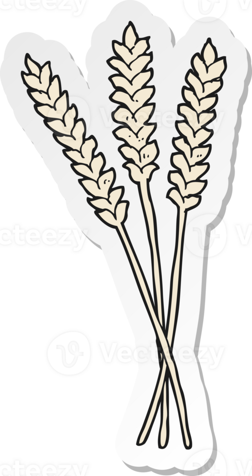 sticker of a cartoon wheat png