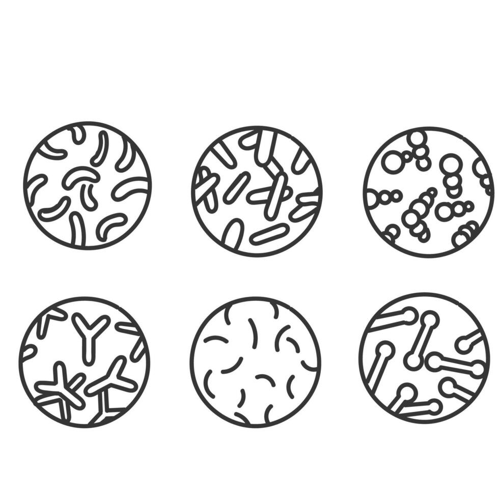 hand drawn doodle microbes bacteria probiotics illustration collection vector