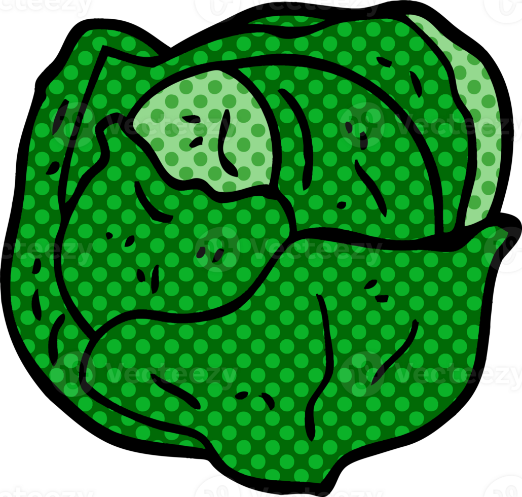 cartoon doodle cabbage png