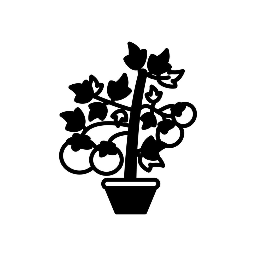 tomate planta icono en vector. logotipo vector