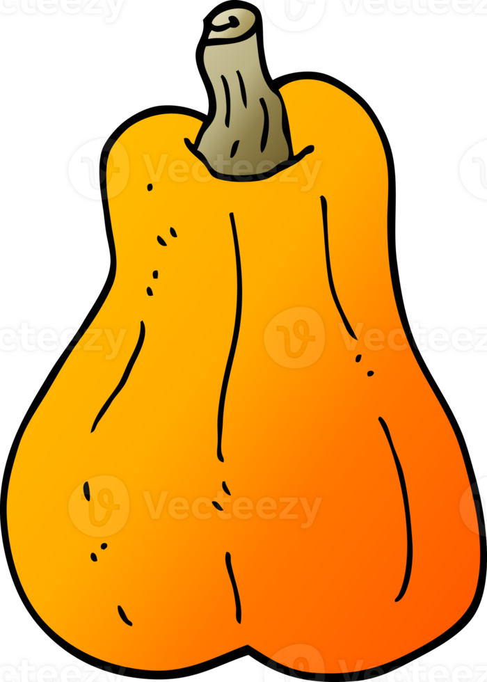 cartoon doodle butternut squash png