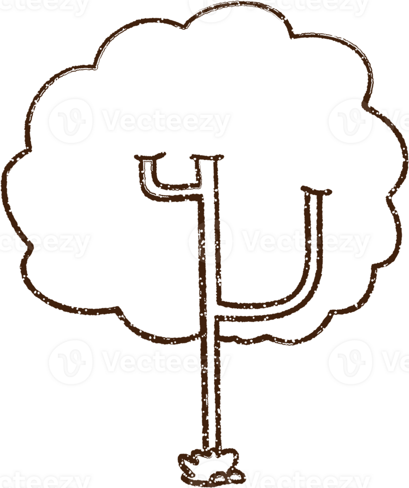 Tree Charcoal Drawing png