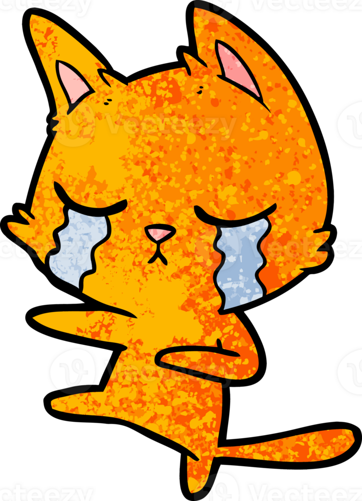 crying cartoon cat dancing png