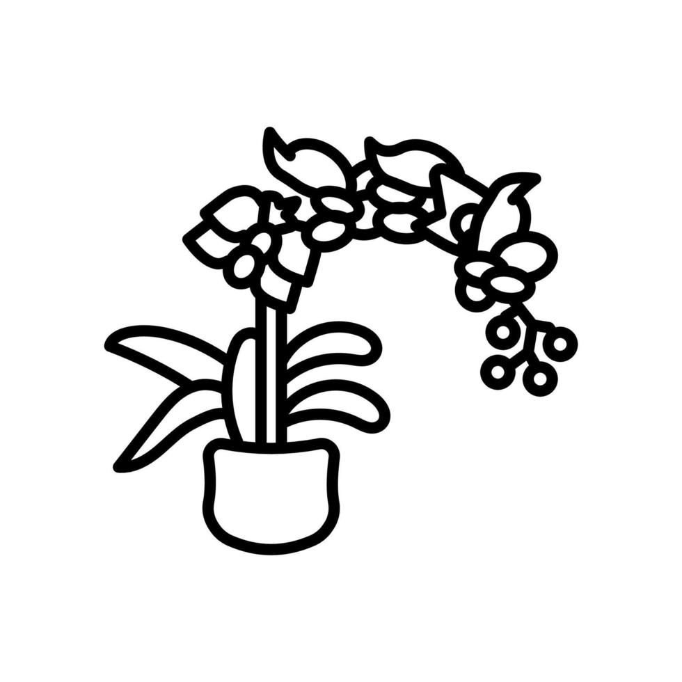 Moth Orchid icon in vector. Logotype vector
