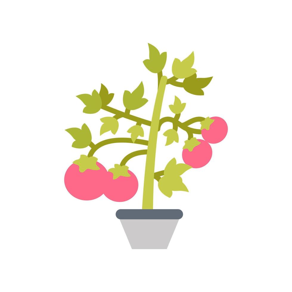 tomate planta icono en vector. logotipo vector