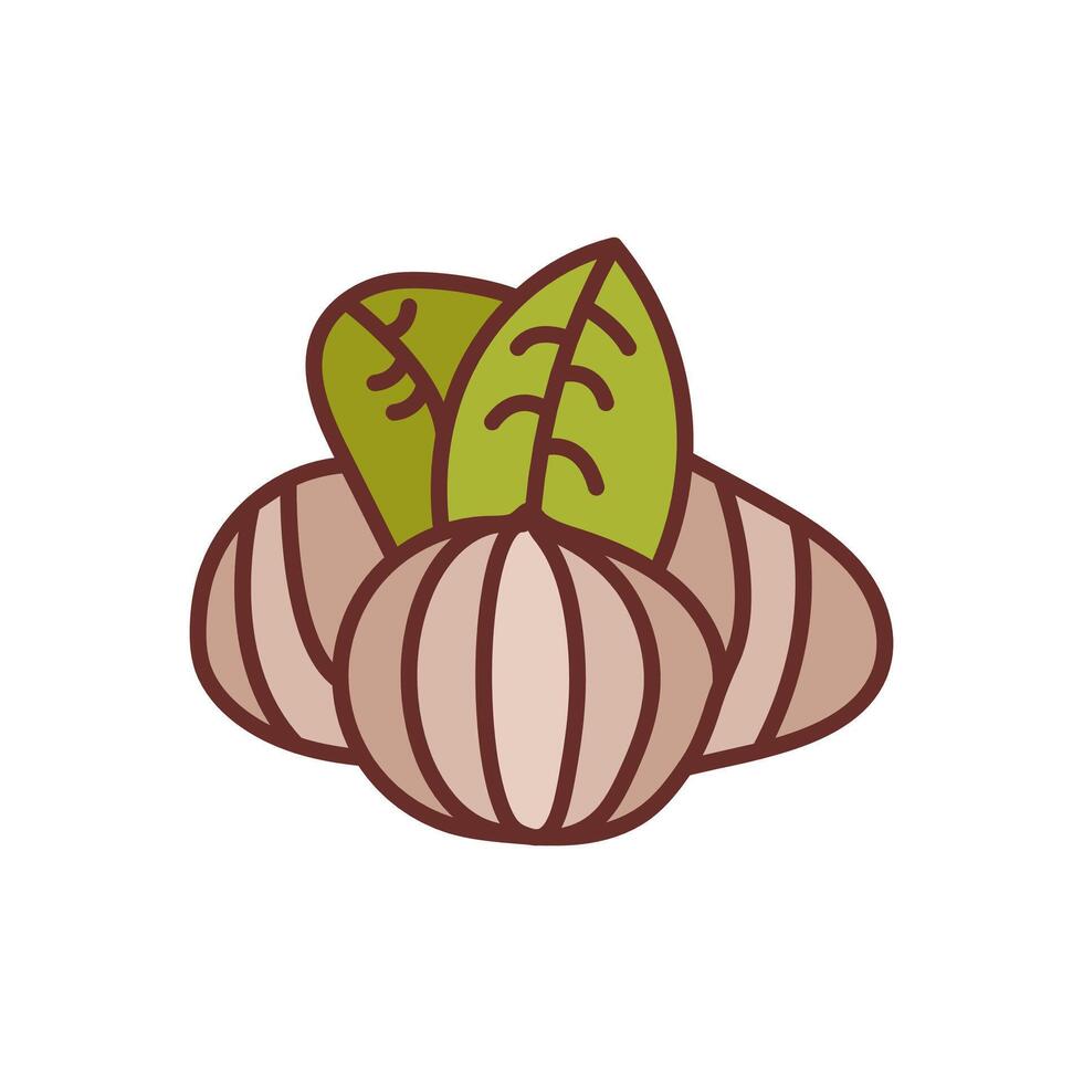Chestnuts Diet  icon in vector. Logotype vector