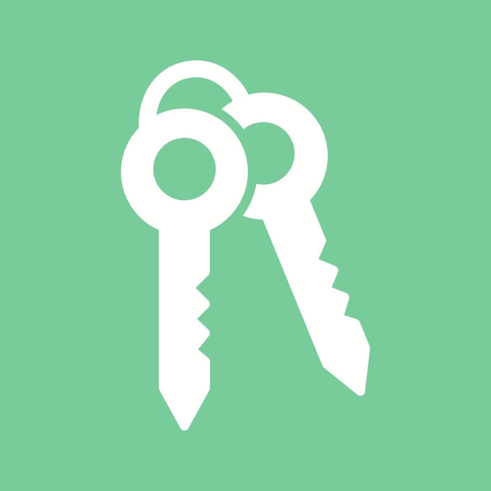 Keys Vector Icon