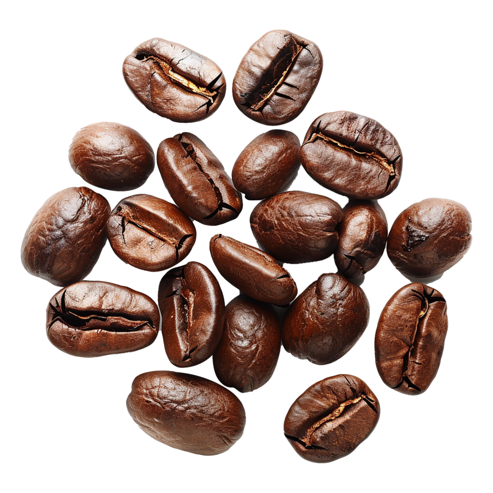AI generated Coffee beans isolated on transparent background png