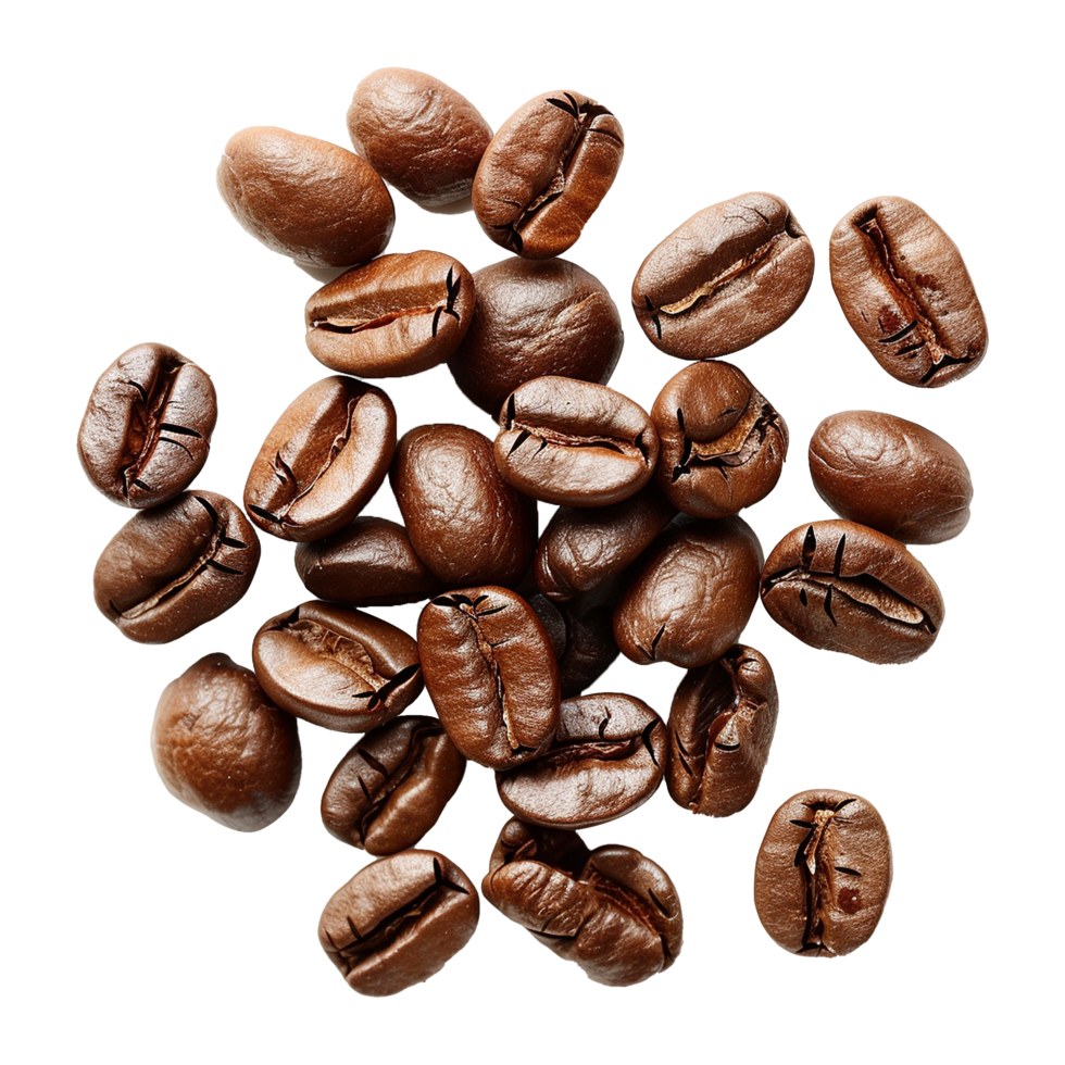 AI generated Coffee beans isolated on transparent background png