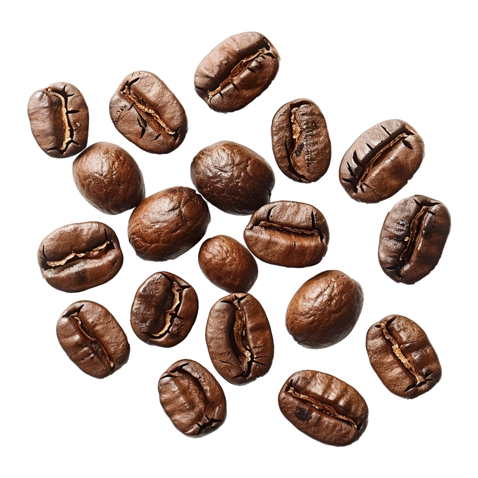 AI generated Coffee beans isolated on transparent background png