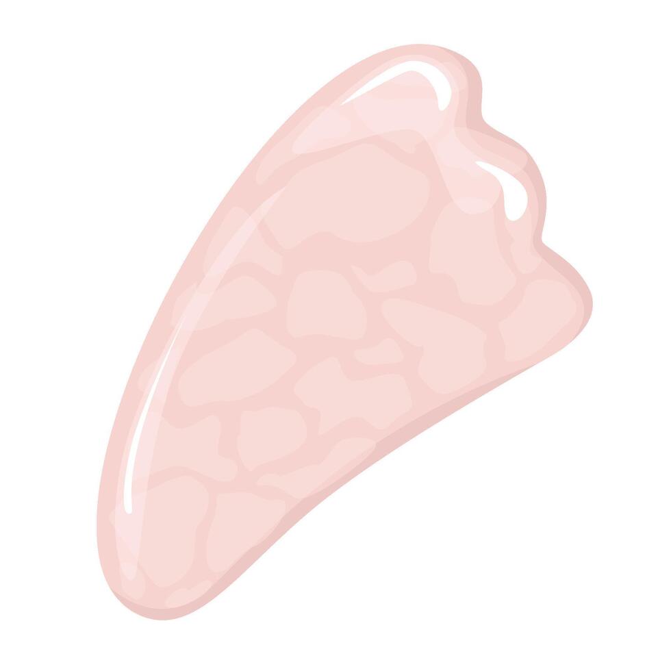 Accessory for gua sha massage. vector
