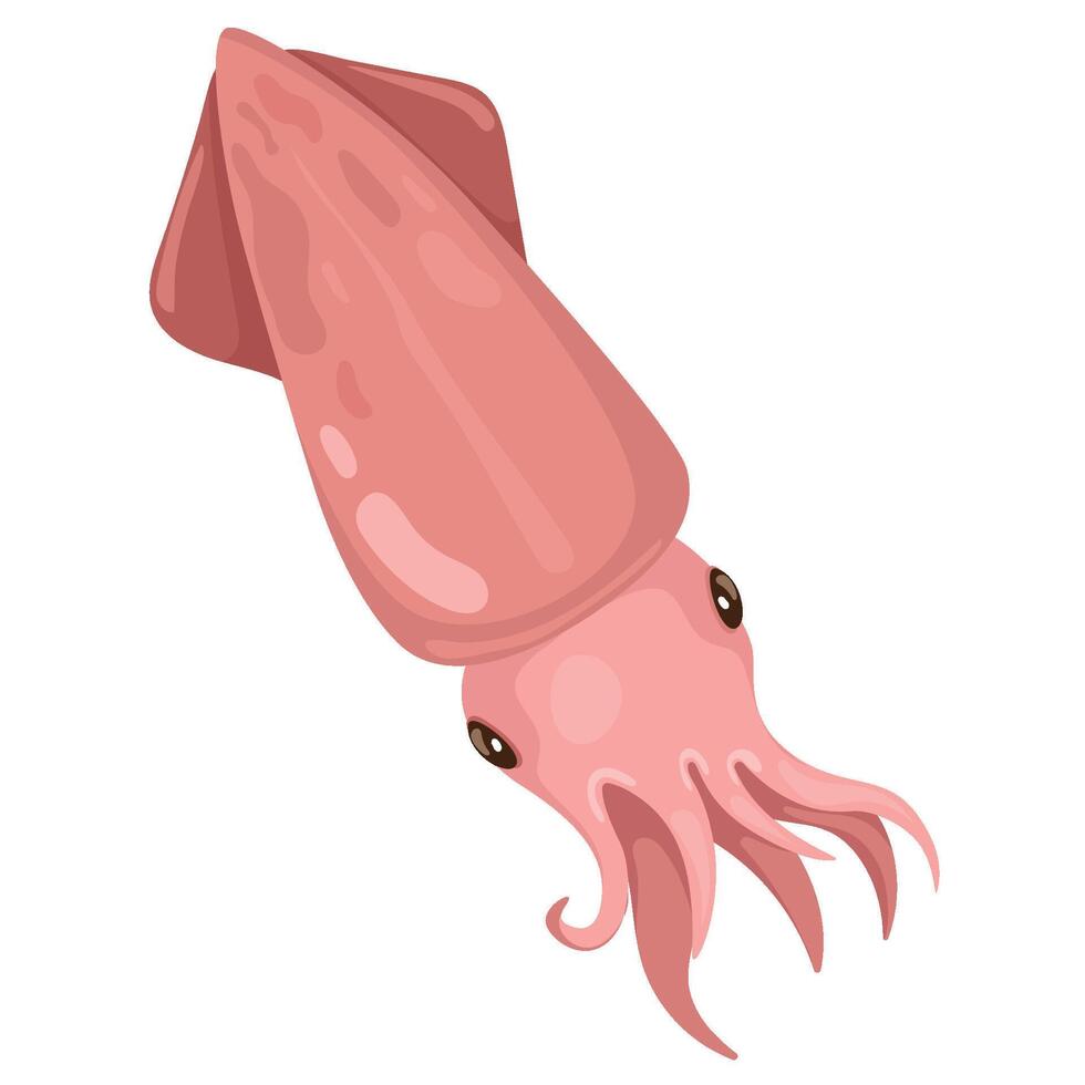Fresh sea fish squid, fresh seafood. vector