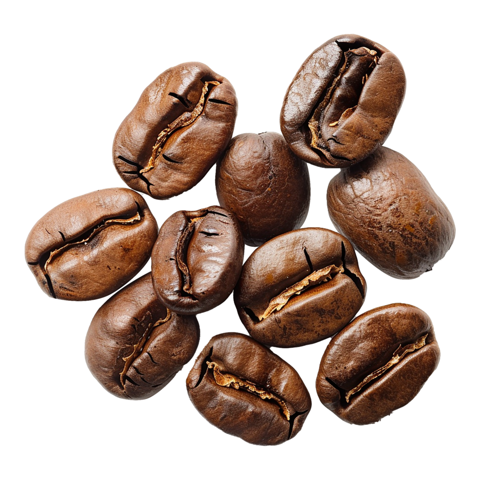 AI generated Coffee beans isolated on transparent background png