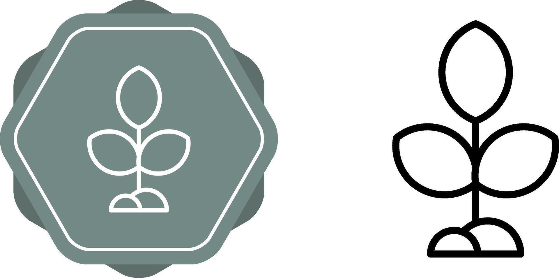 Plant Vector Icon