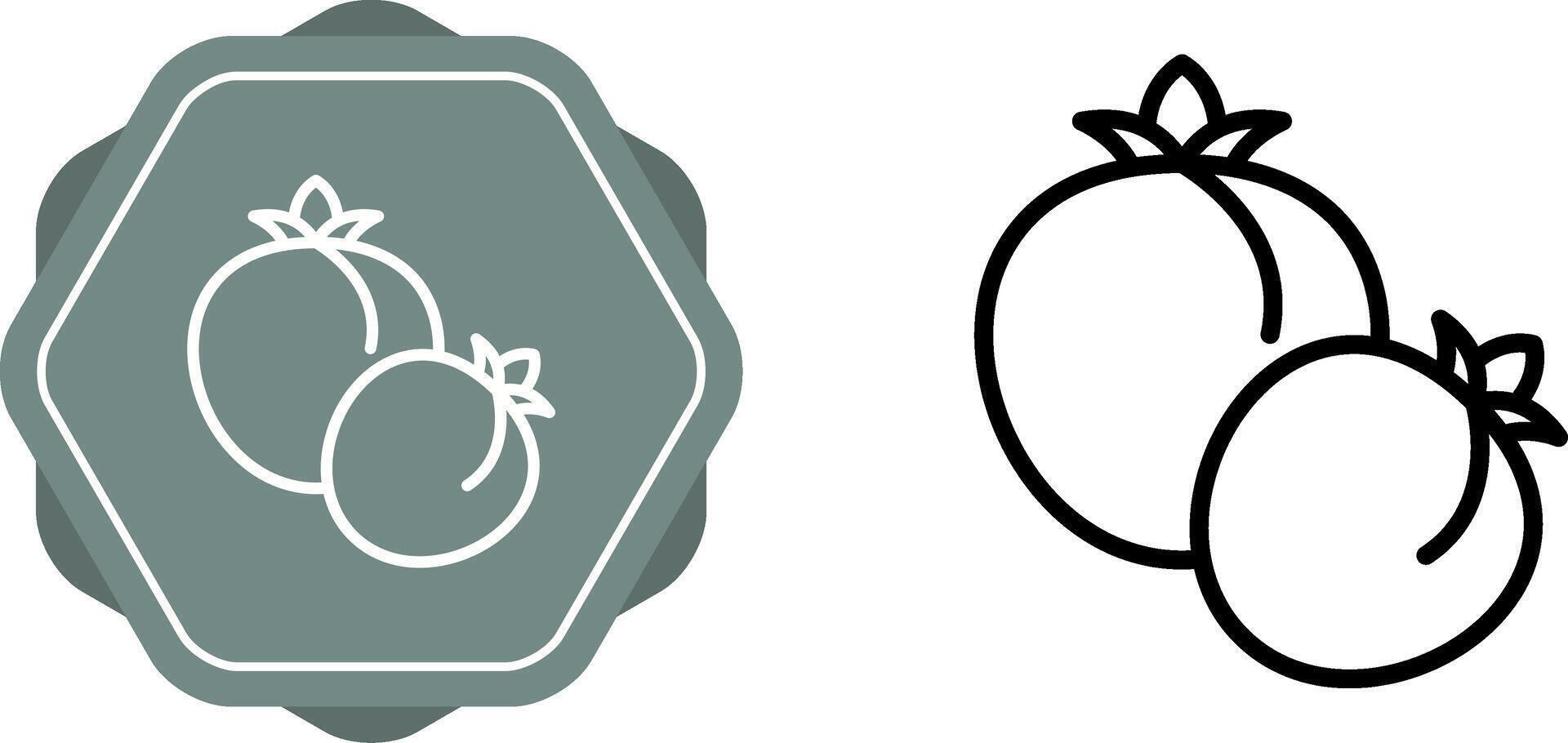 Tomato Vector Icon