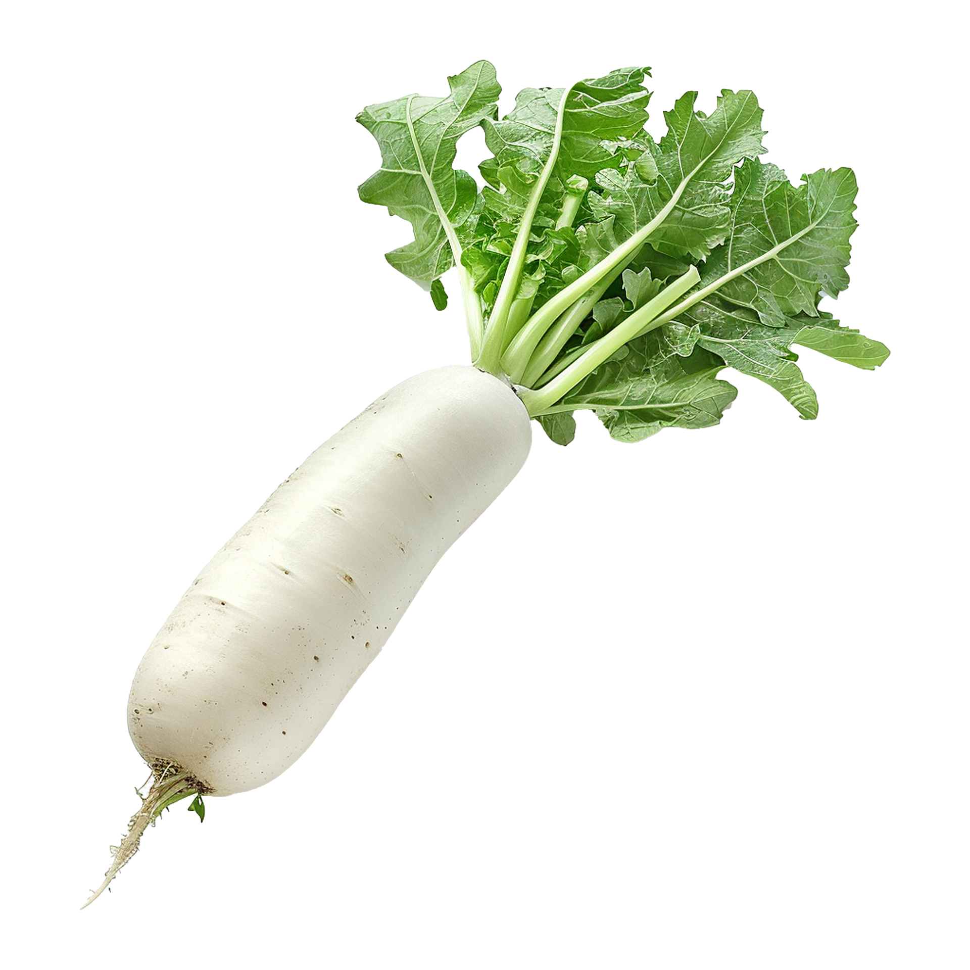 AI generated Daikon radish isolated on transparent background png ...