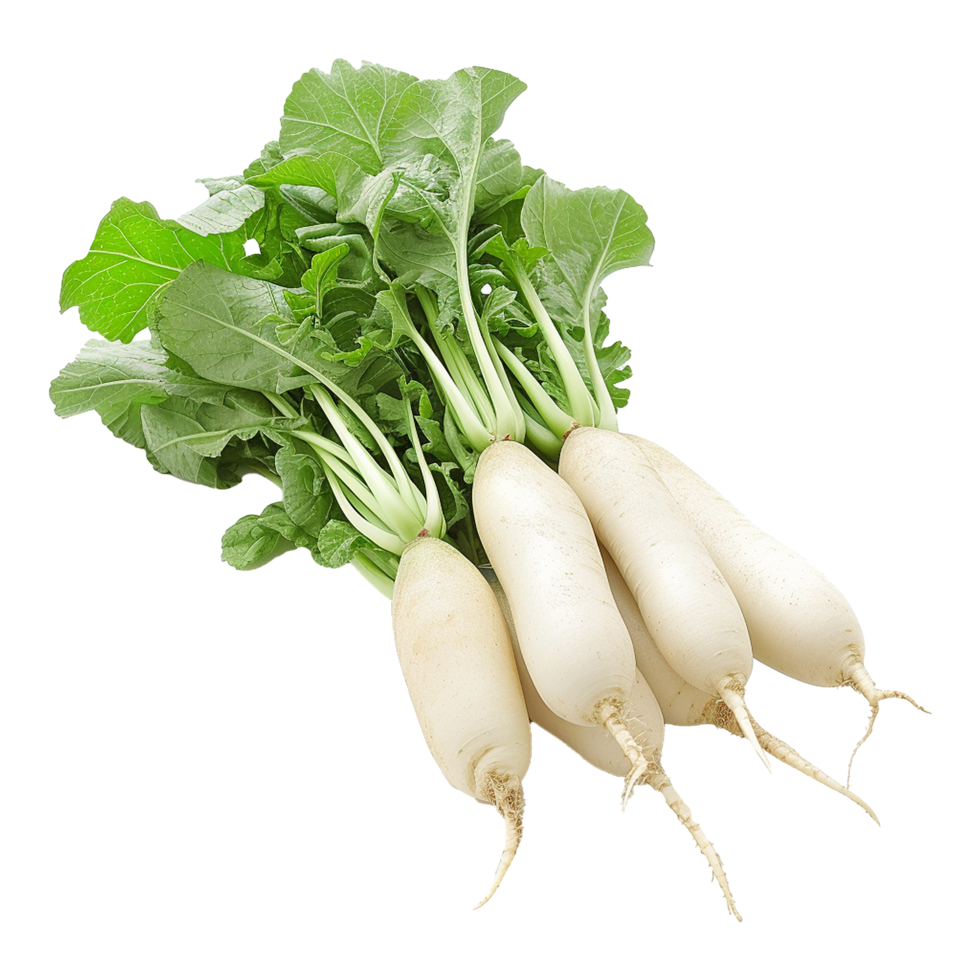 AI generated Daikon radish isolated on transparent background png ...