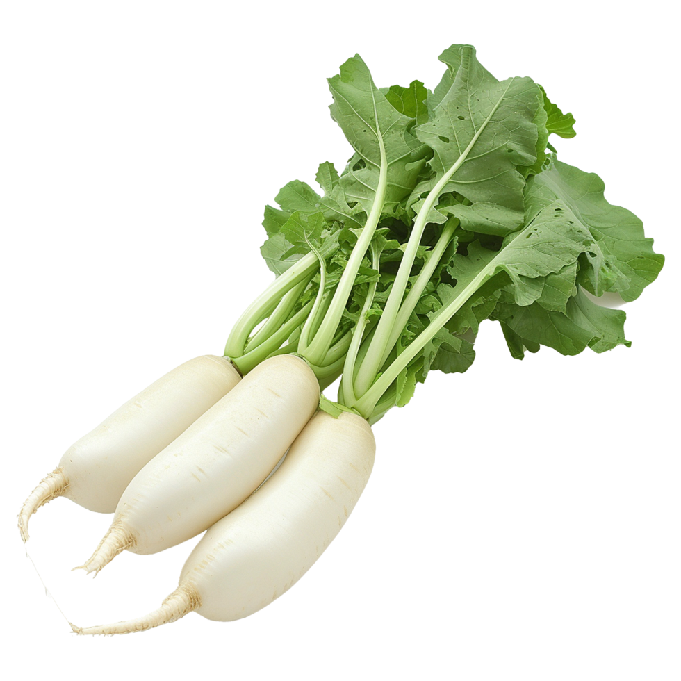 ai gegenereerd daikon radijs geïsoleerd Aan transparant achtergrond PNG