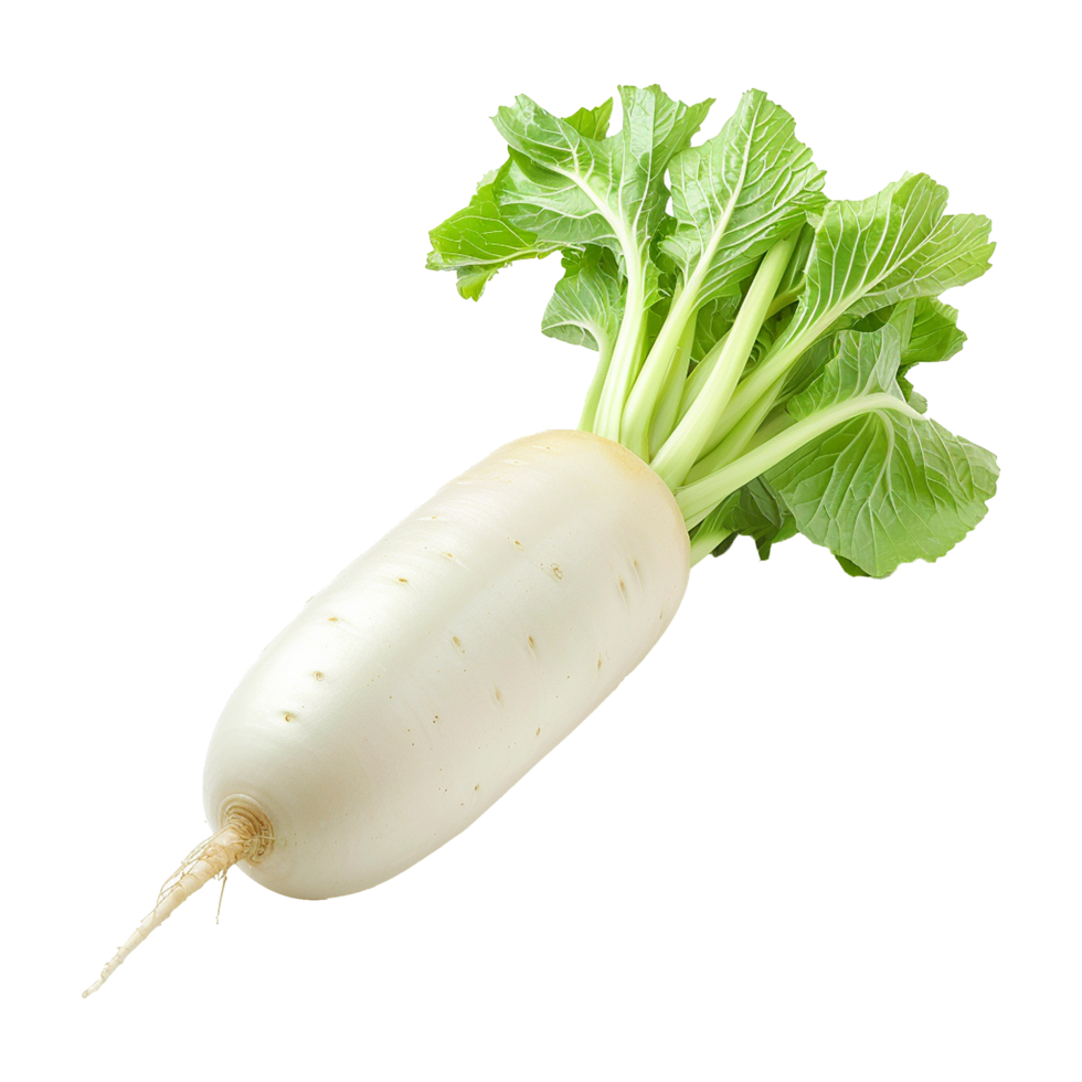 ai gegenereerd daikon radijs geïsoleerd Aan transparant achtergrond PNG