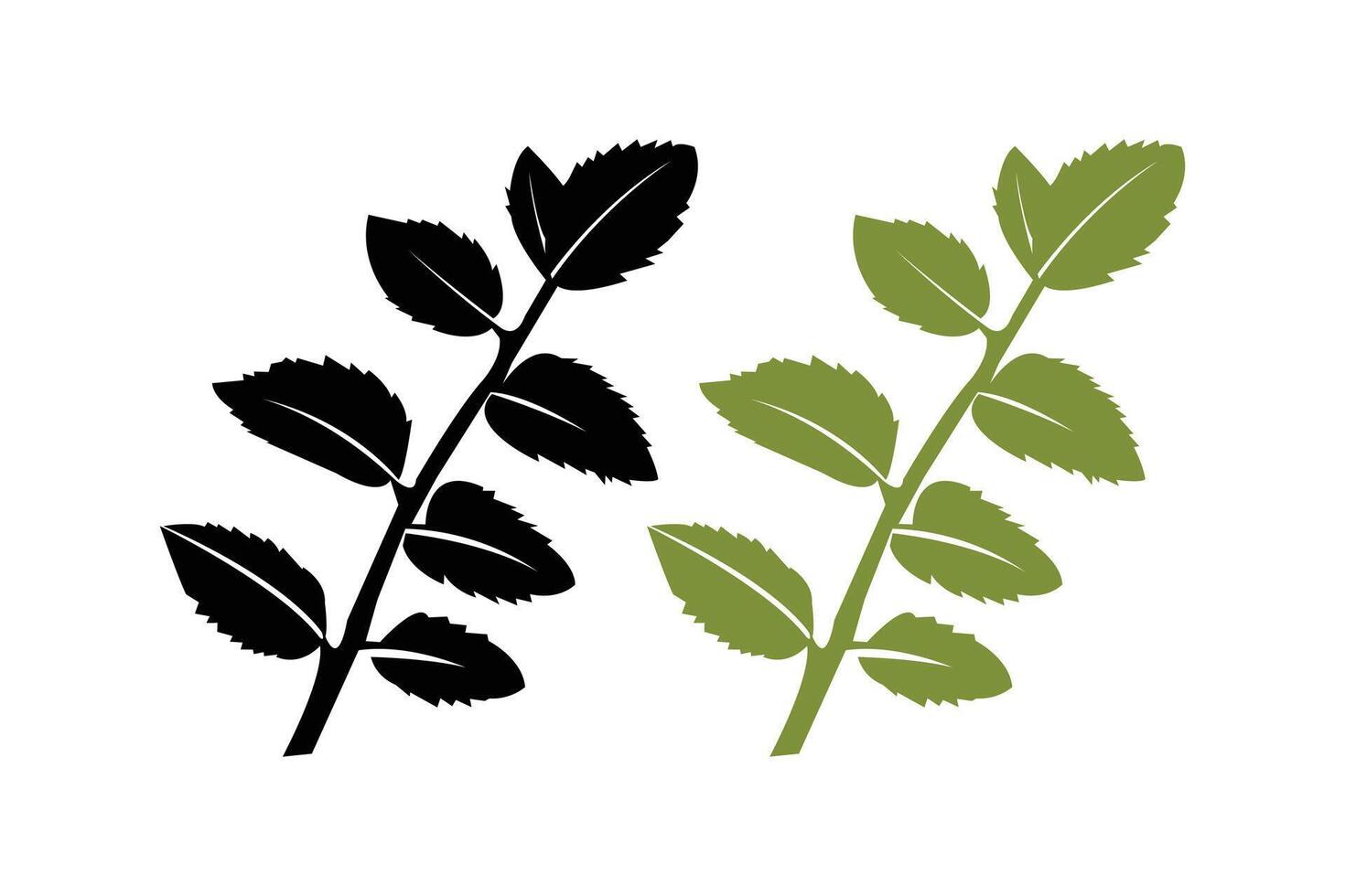 Leaves branch vector illustration. Leaf icon black vector isolated on white background.