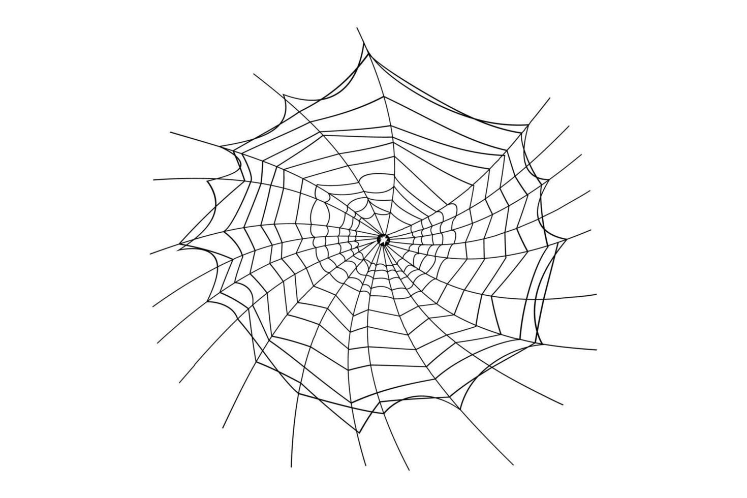 Spider web outline vector isolated on white background. Spider web icon for Halloween.