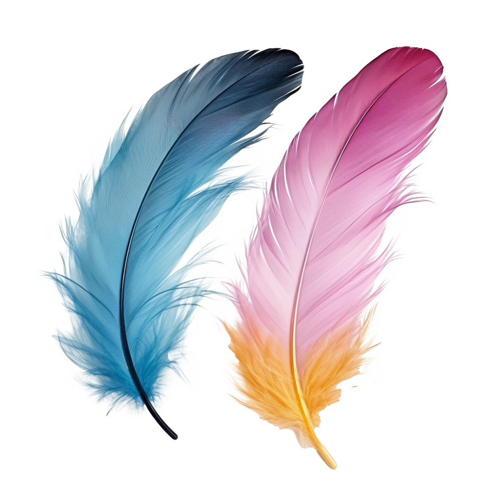 AI generated Color feathers png isolated on transparent background