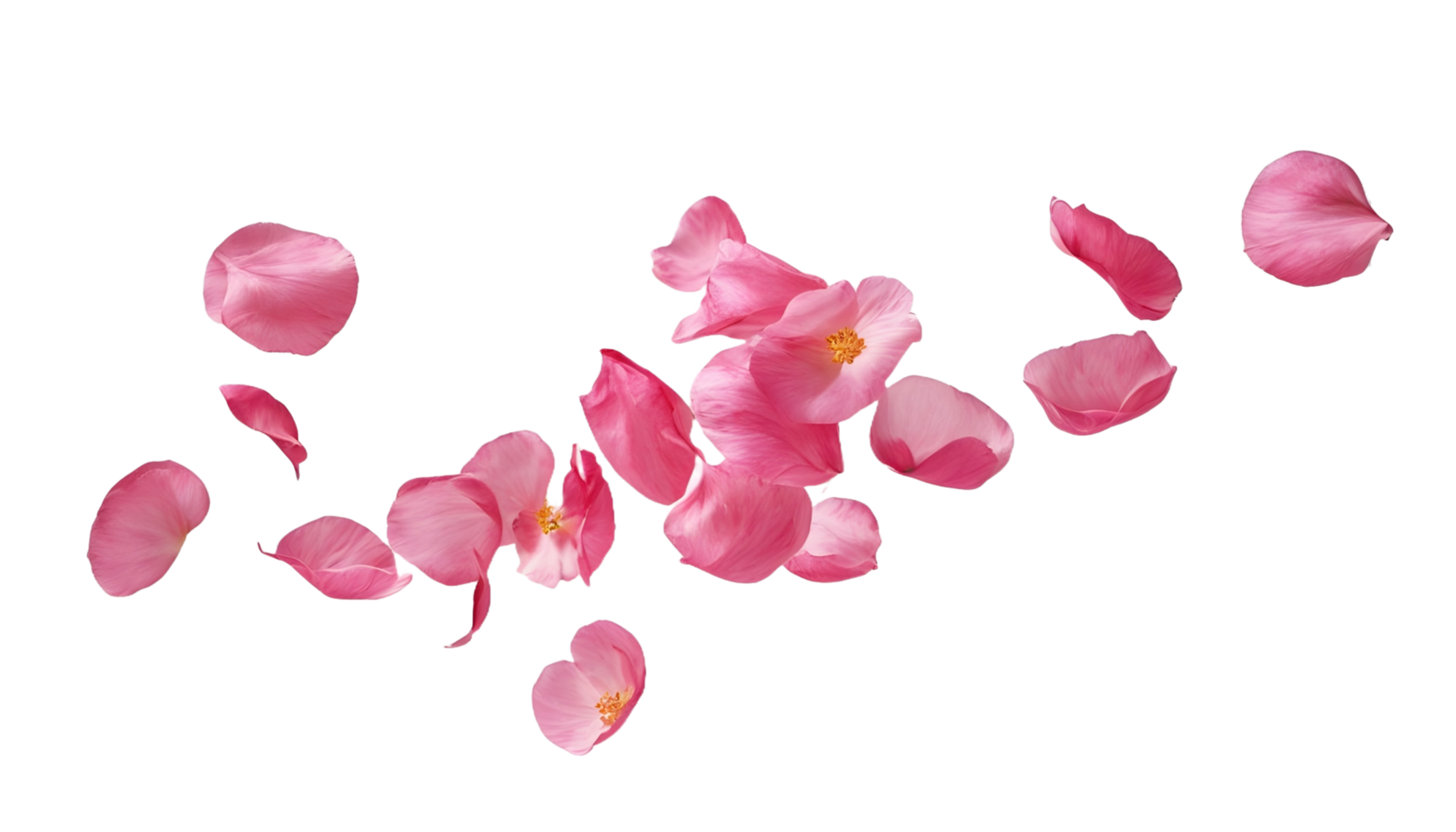 ai generato danza di galleggiante rosa petali nel il aria gratuito png