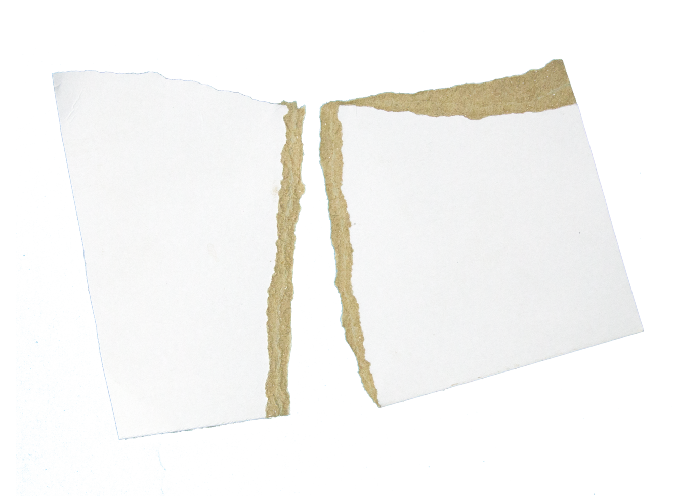 A Piece of paper cut on isolated background png