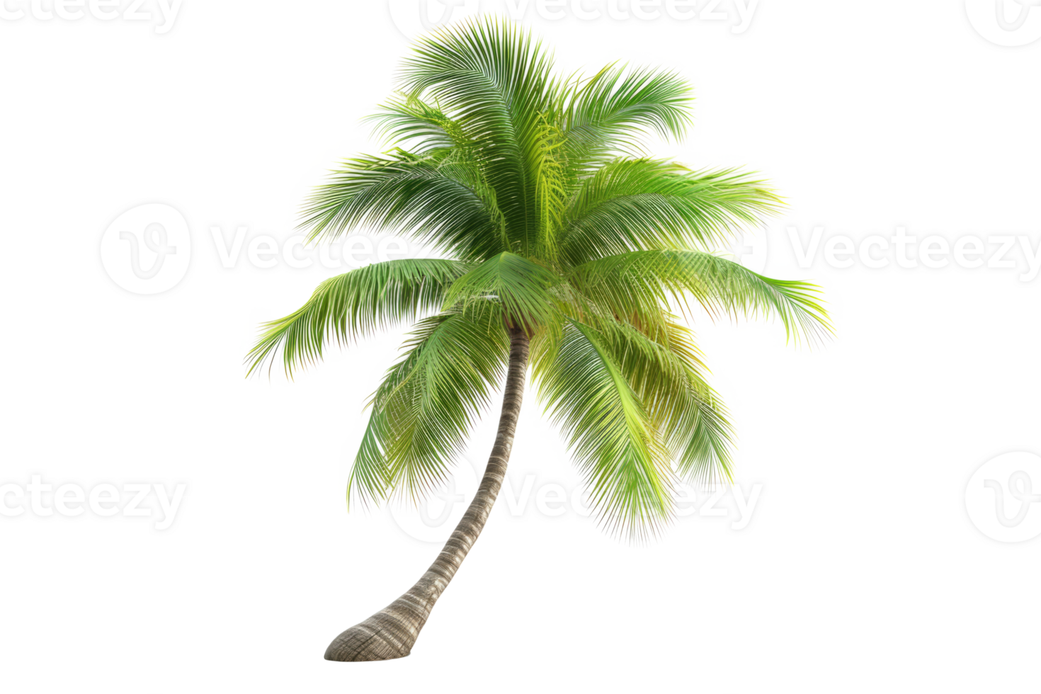AI generated Palm Tree Isolated png