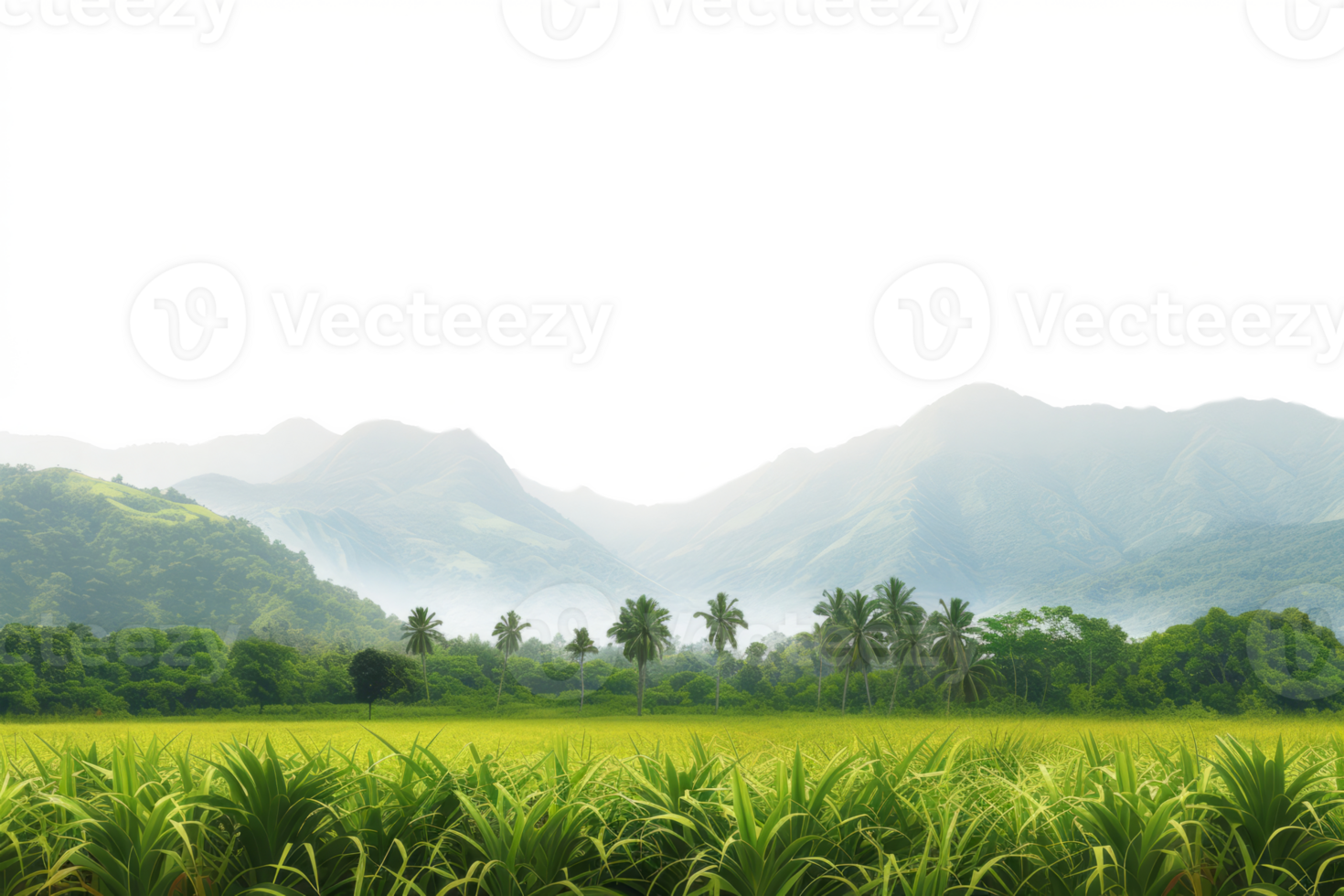 AI generated Panorama of tropical rainforest and mountains isolated png