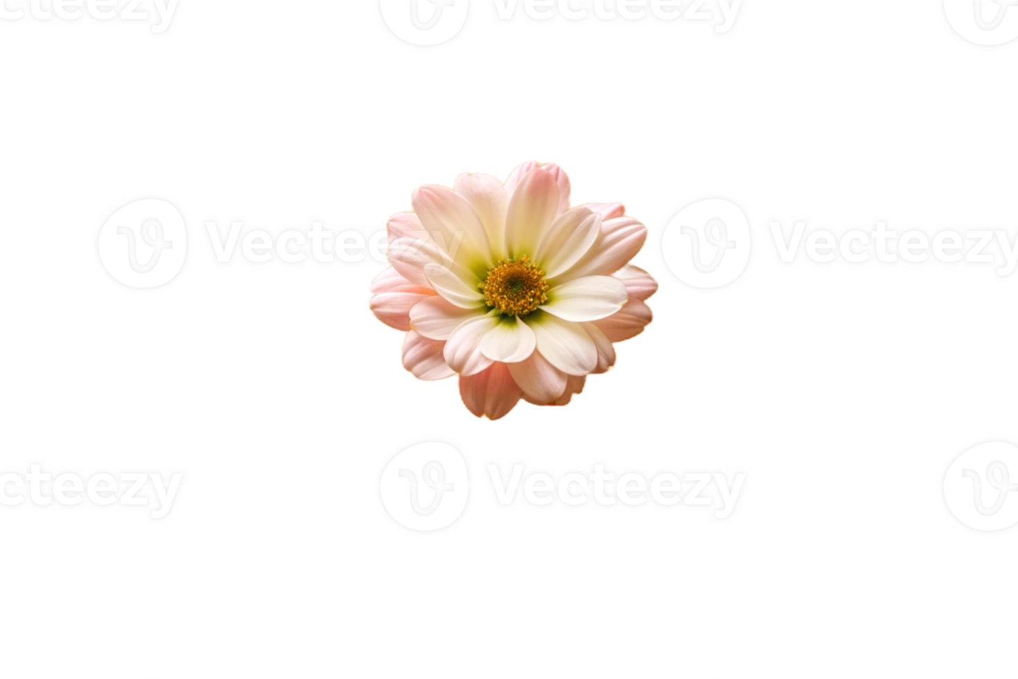 AI generated cherry blossom petals png
