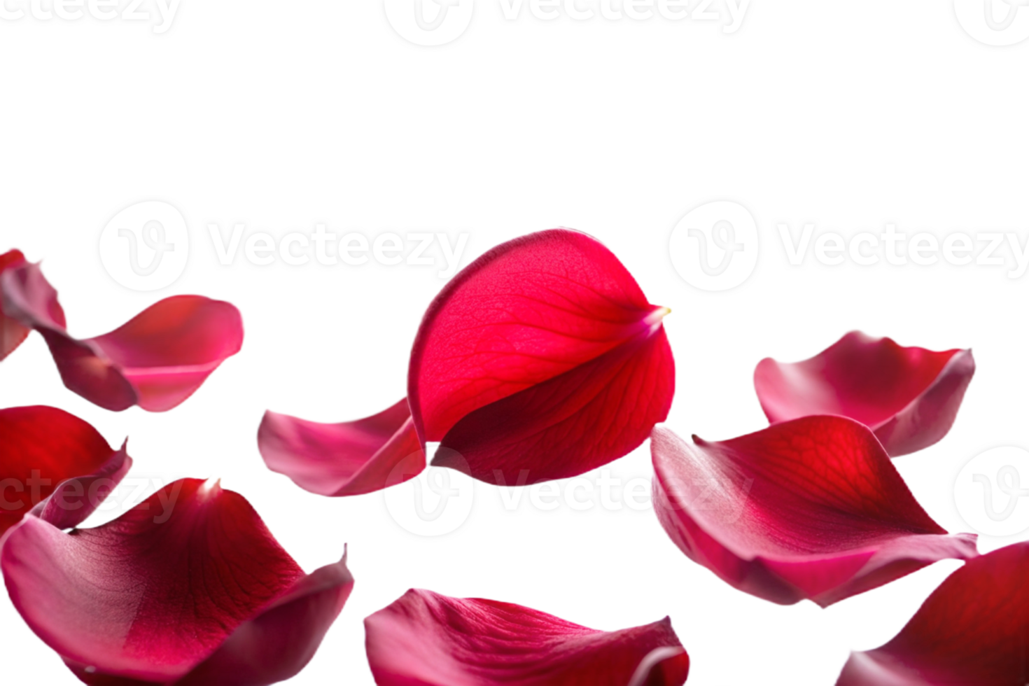AI generated red rose floated png