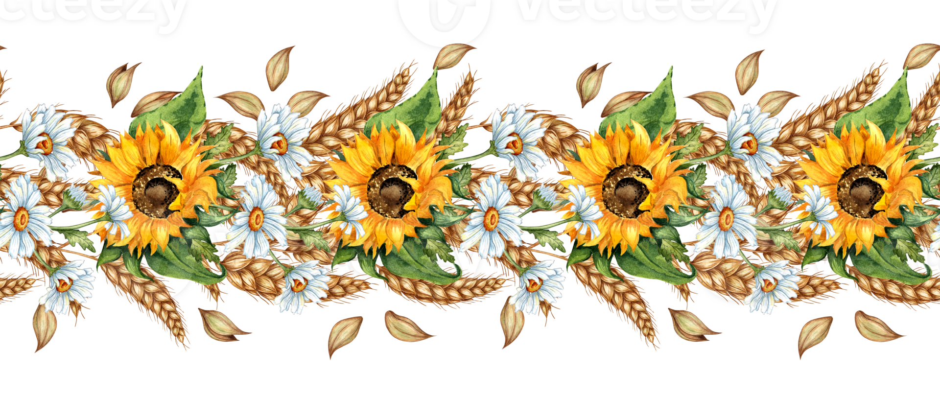 Watercolor illustration horizontal pattern of sunflowers, daisies, wheat isolated. Handmade flowers for wedding anniversary, birthday, invitations, cards, banners. png