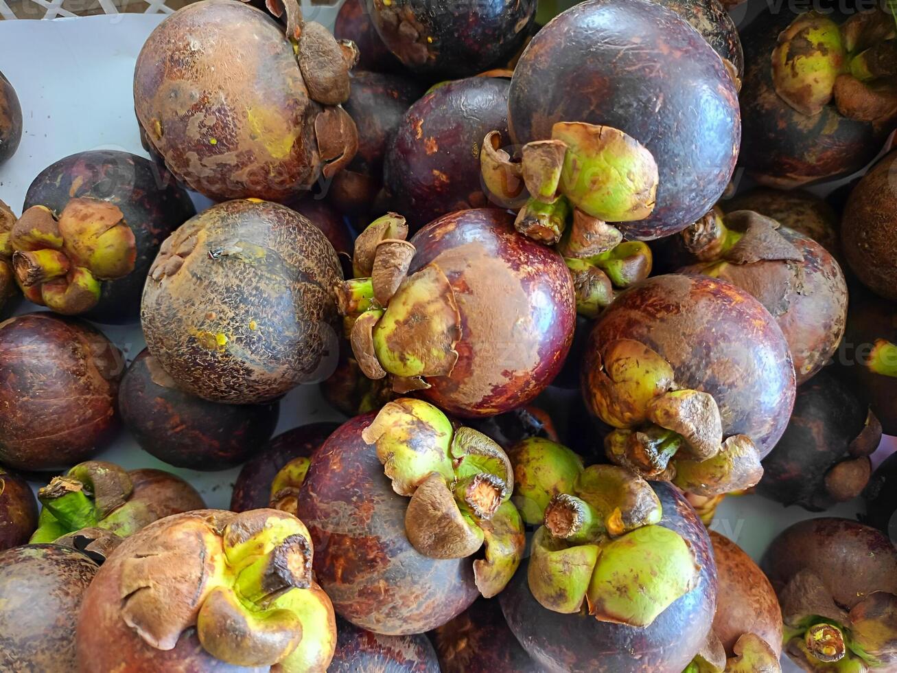 Fresco mangostán Fruta con oscuro púrpura piel y natural tropical delicadeza. adecuado para salud, culinario contenido, o como un artículo en el beneficios de mangostán fruta. foto