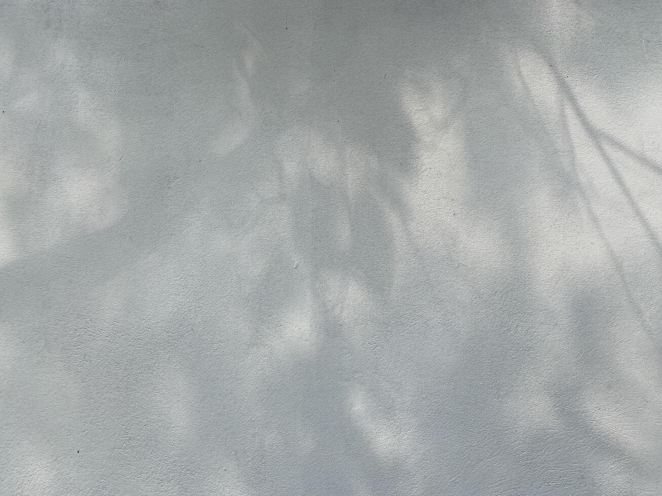 Leaves shadow background on concrete wall texture, leaves tree branches shade with sunlight photo