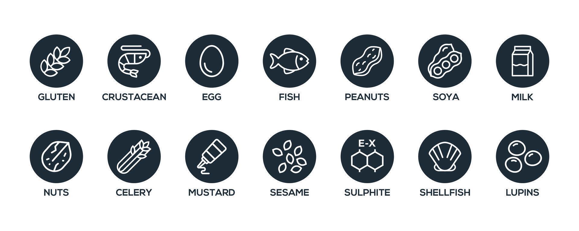 Isolated Vector Logo Set Badge Ingredient Warning Label. Black and white Allergens icons. Food Intolerance. The 14 allergens required to declare written in english