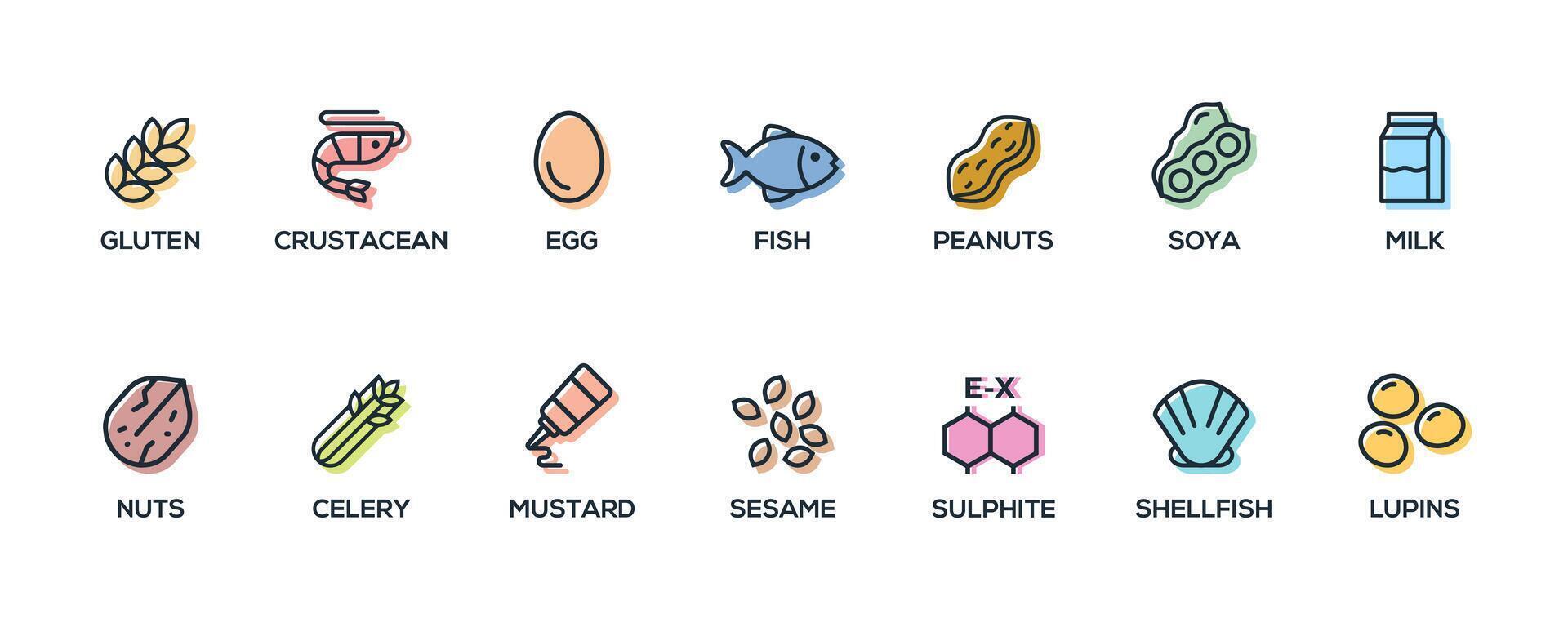 Simple Isolated Vector Logo Set Badge Ingredient Warning Label. Colorful Allergens icons. Food Intolerance. The 14 allergens required to declare written in English