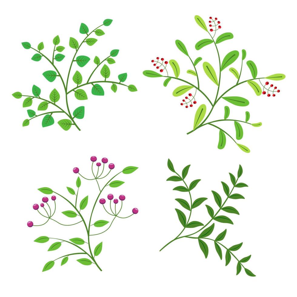 vector set of branches with leaves and berries on a white background.