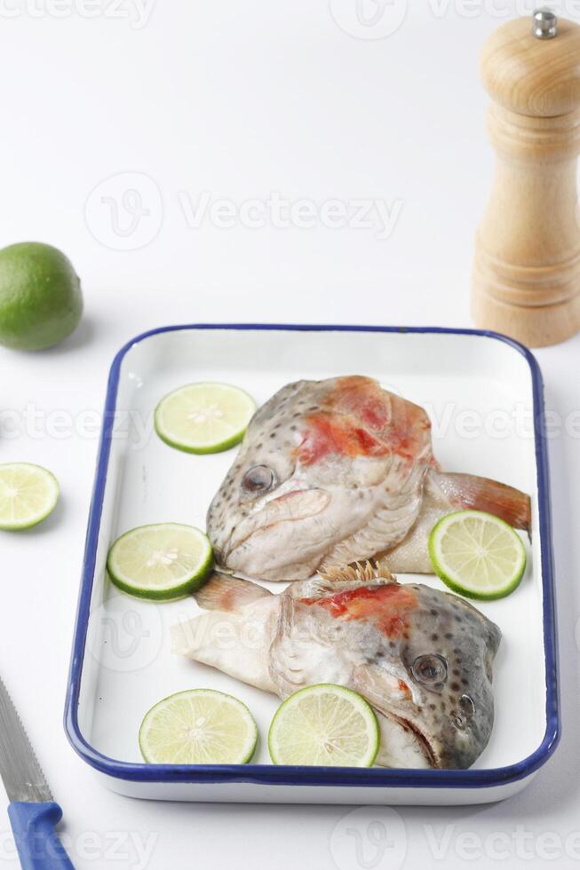 Raw Salmon Fish Head photo